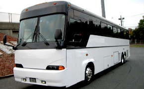 Florida Party Bus