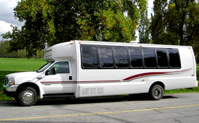Party Buses in Miami